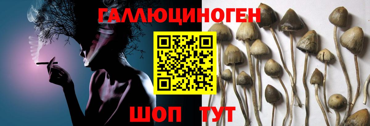 Галлюциногенные грибы мухоморы Армавир